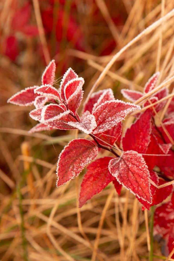 Фотография автора Бугаев Олег