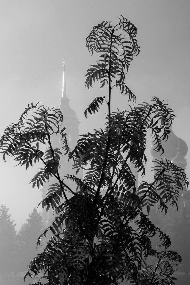 Фотография автора Бугаев Олег