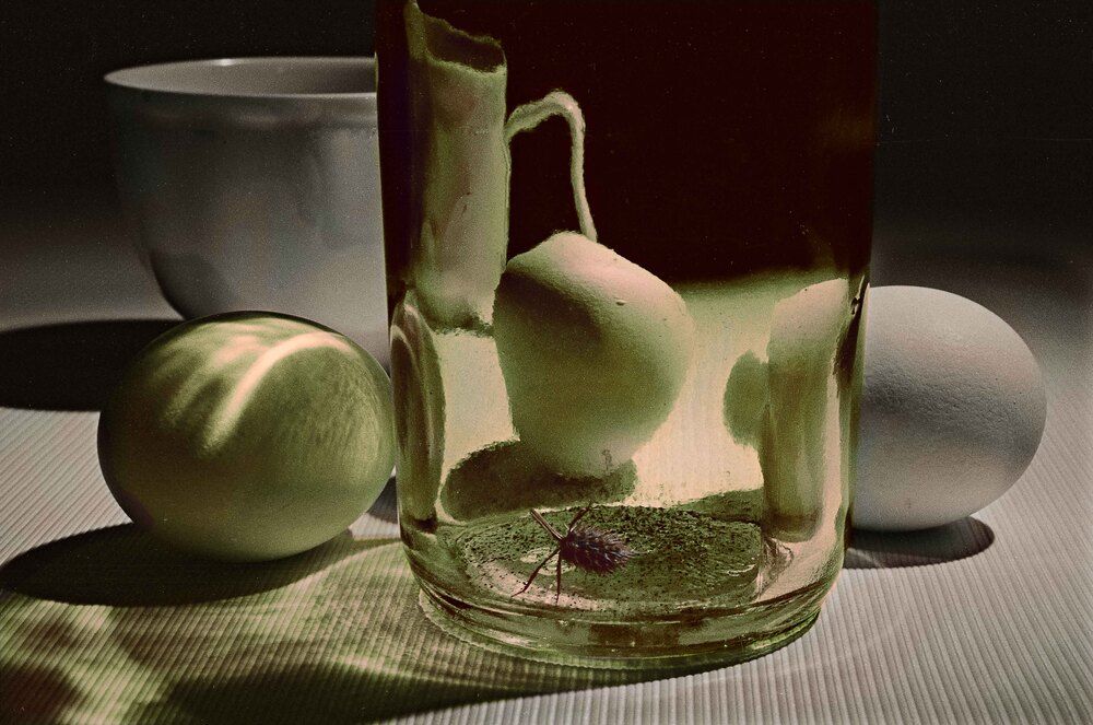 Photograph by Иван Труфанов