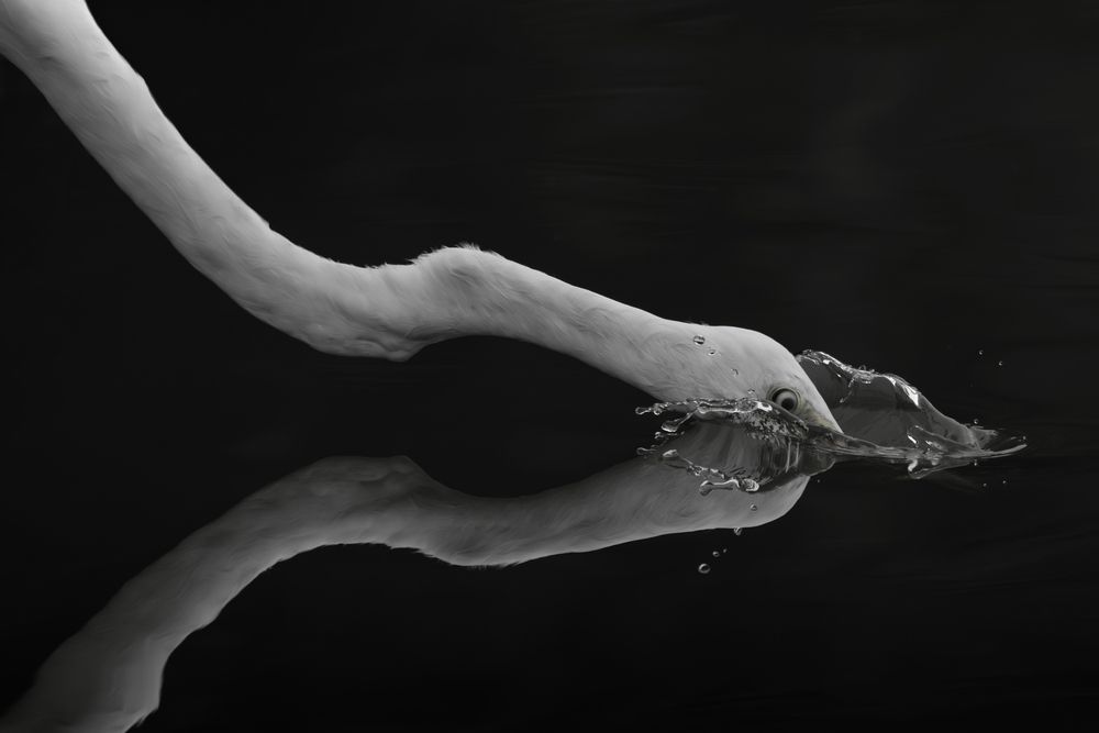 The Decisive Moment