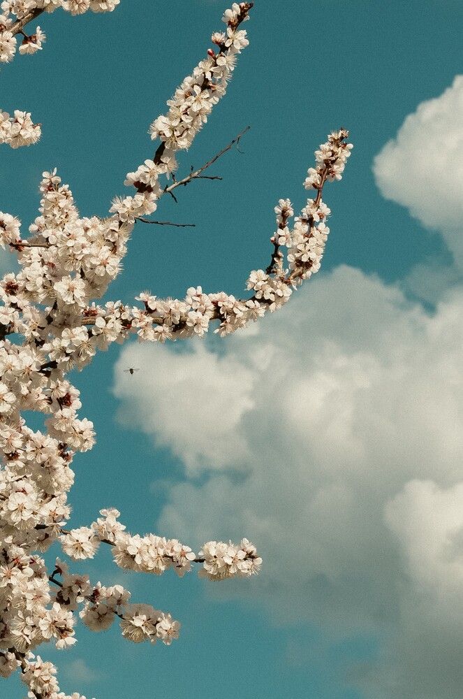 Фотография автора Бугаев Олег