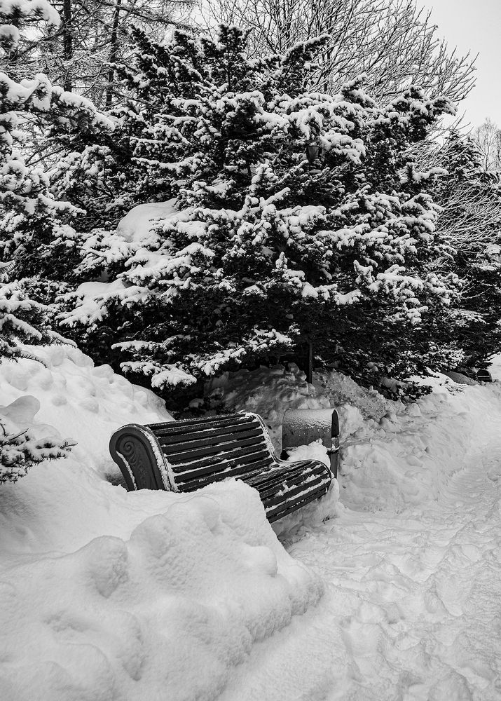 Photograph by Таращук Евгений