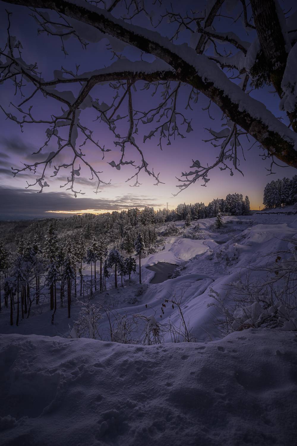 Фотография #12920724