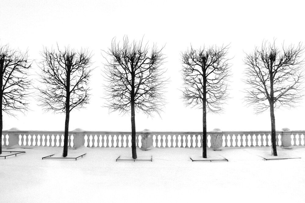 Photograph by Сергей Григорьев