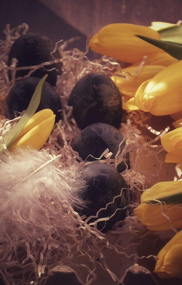 Photograph by Зыкова Мария