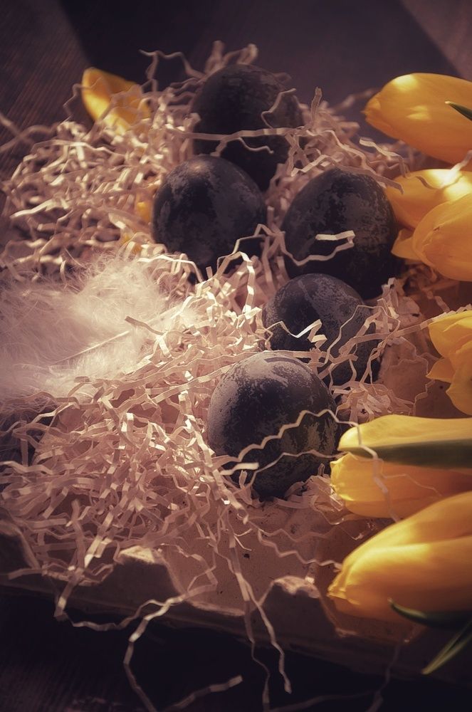 Photograph by Зыкова Мария