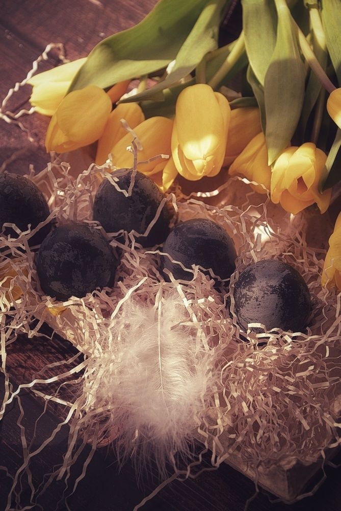 Photograph by Зыкова Мария