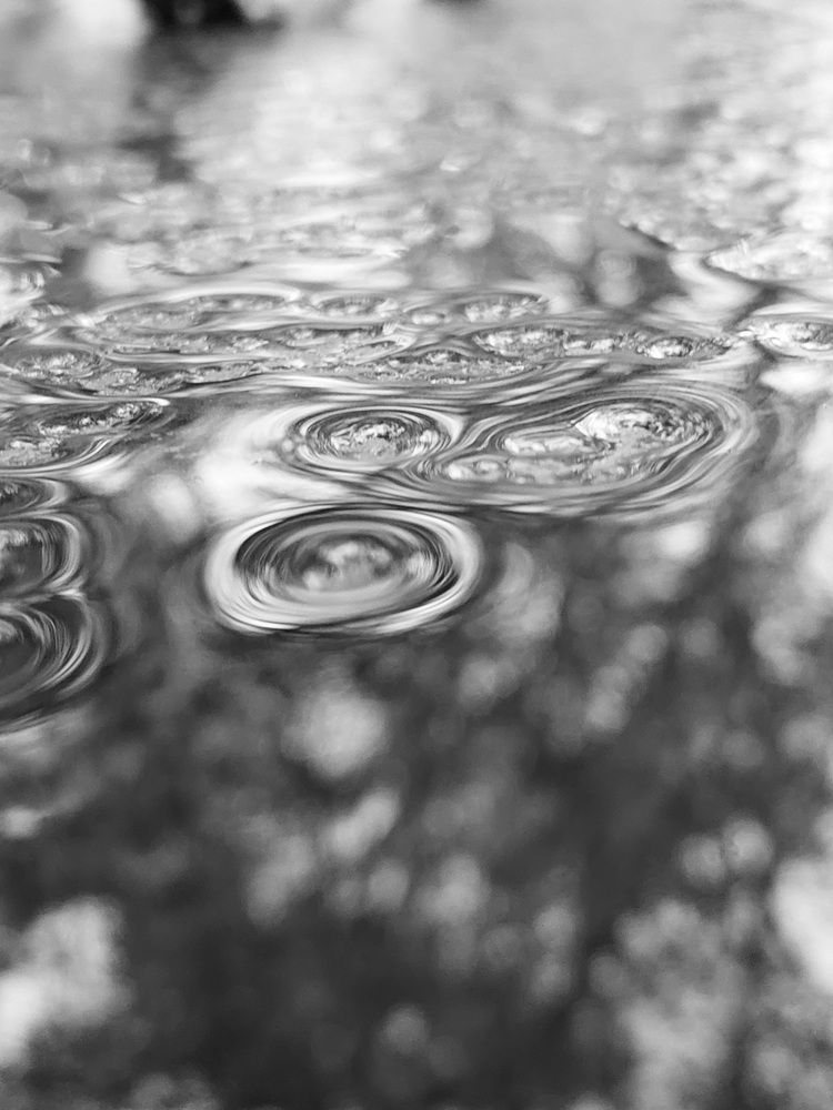 Фотография автора Евгения Хан