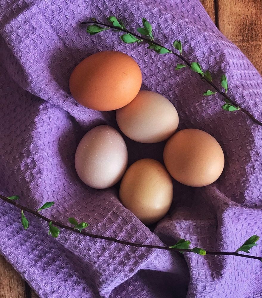 Photograph by АЛЛА ТАРАСЕНКО