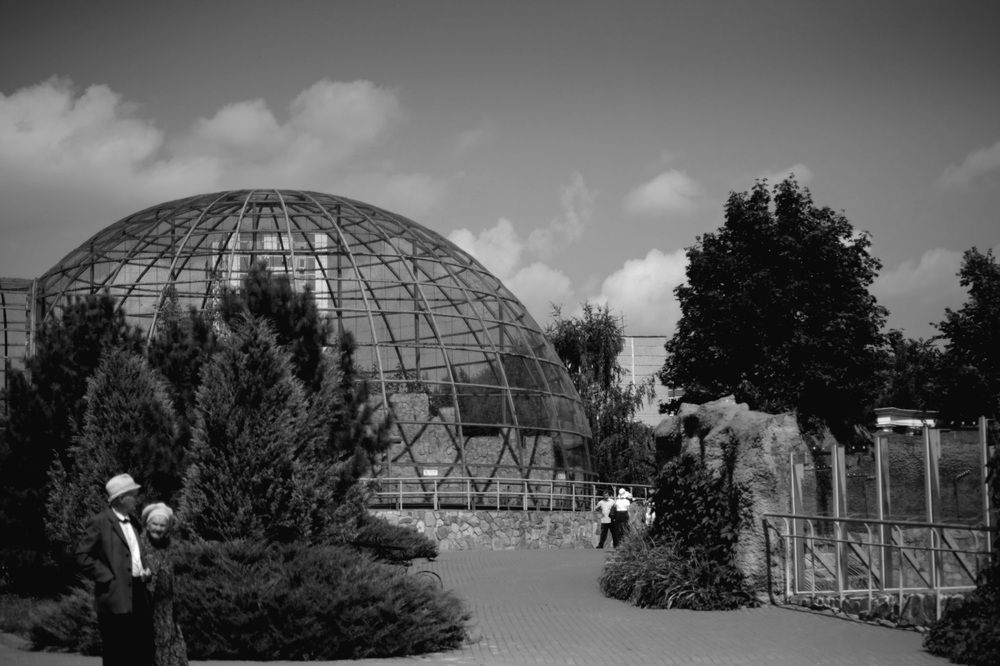 Photograph by Мария Черенева