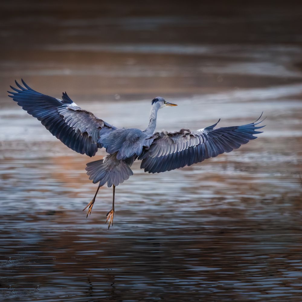 Photograph by Дмитрий Третьяков