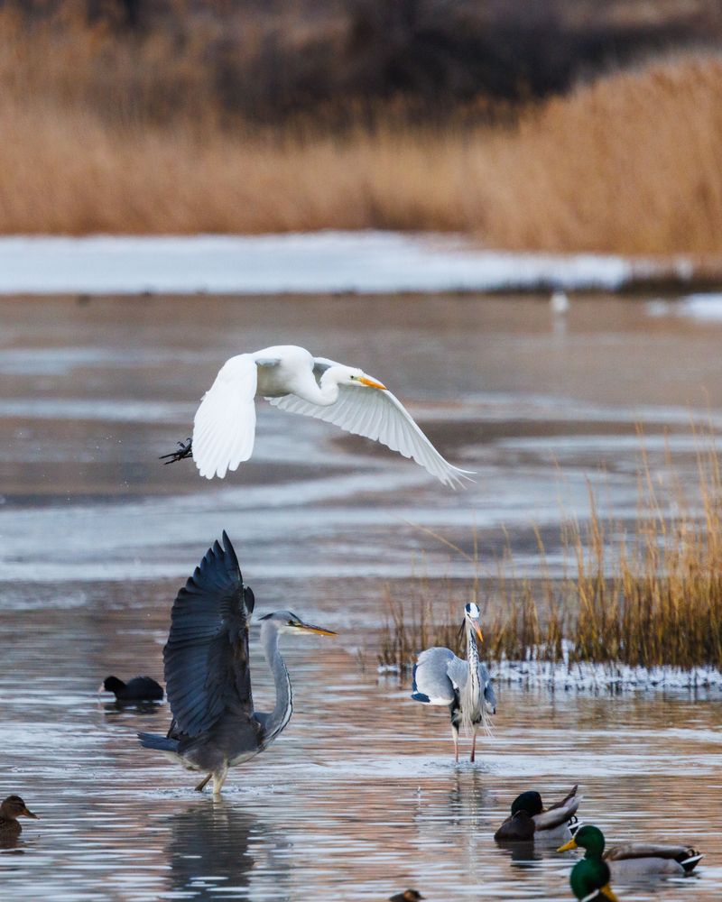 Photograph by Дмитрий Третьяков