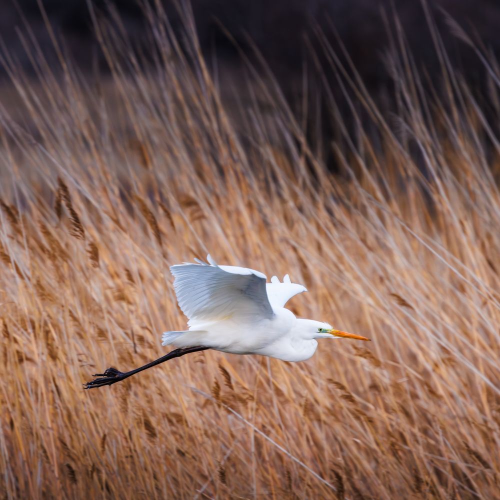 Photograph by Дмитрий Третьяков