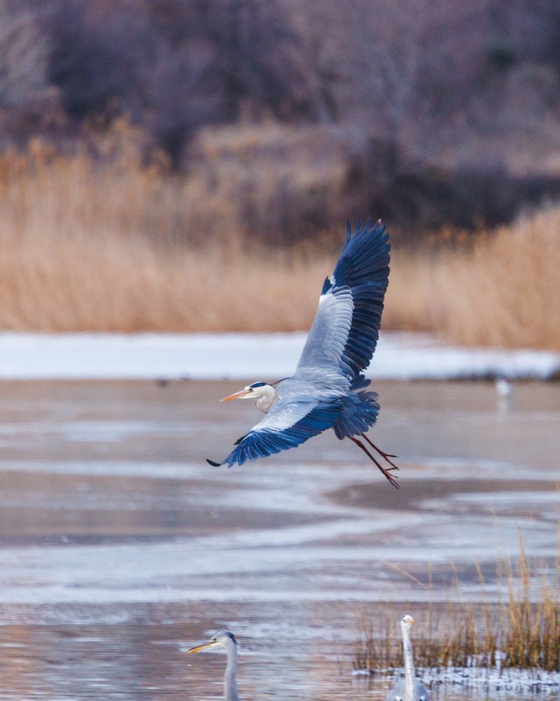 Photograph by Дмитрий Третьяков