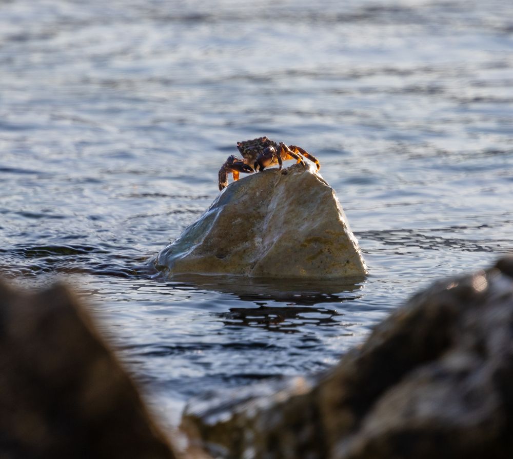 Photograph by Дмитрий Третьяков