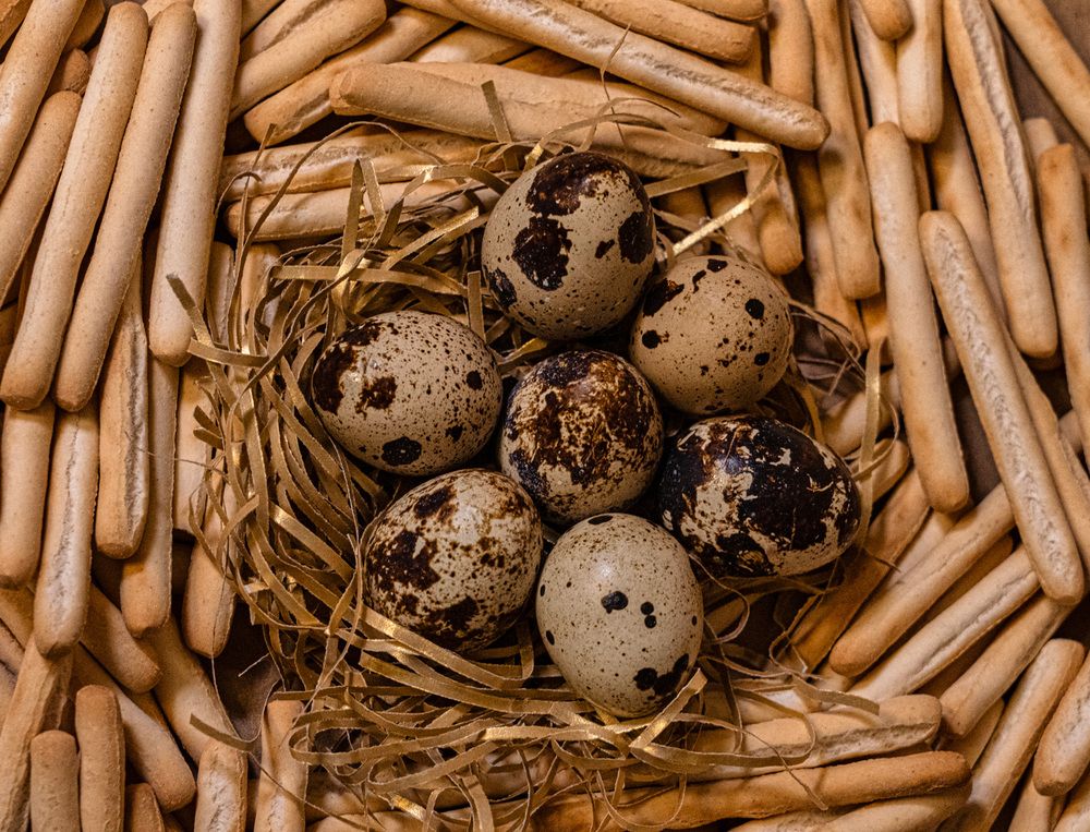 Photograph by Irina Ostapenko (Nepavlova)