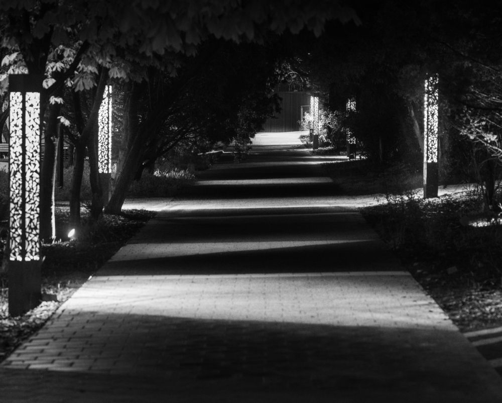 Photograph by Дмитрий Третьяков