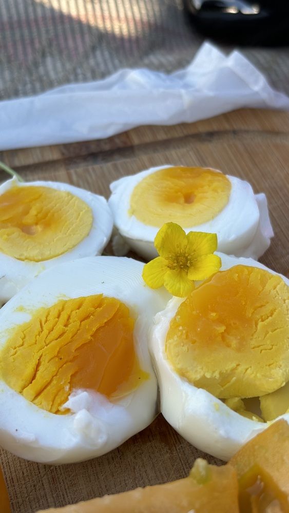 Photograph by Елена Гущина