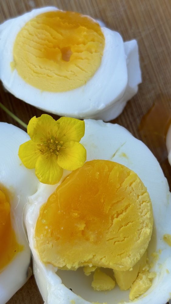 Photograph by Елена Гущина