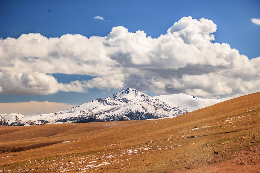 Photograph by Юлия Мальнева