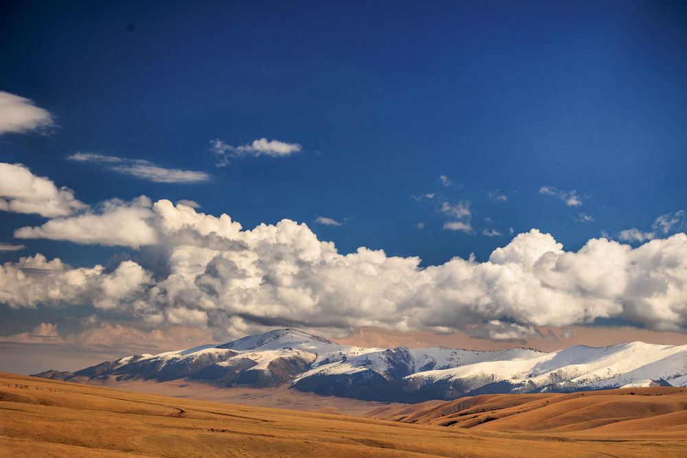 Photograph by Юлия Мальнева