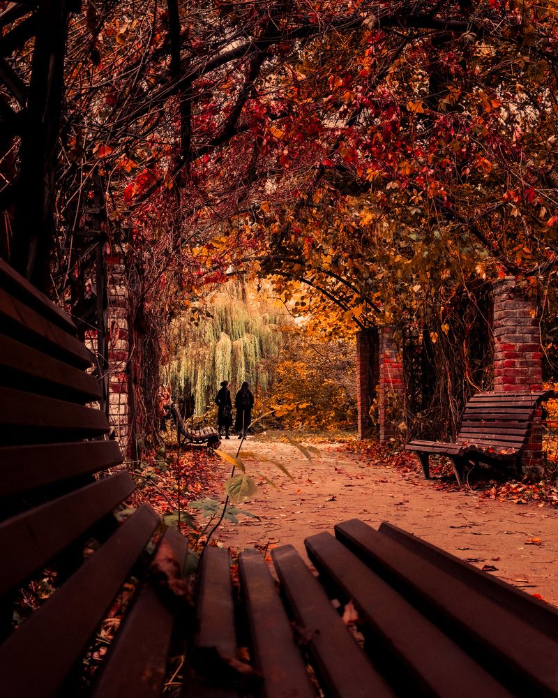 Photograph by Алексей Макушенко