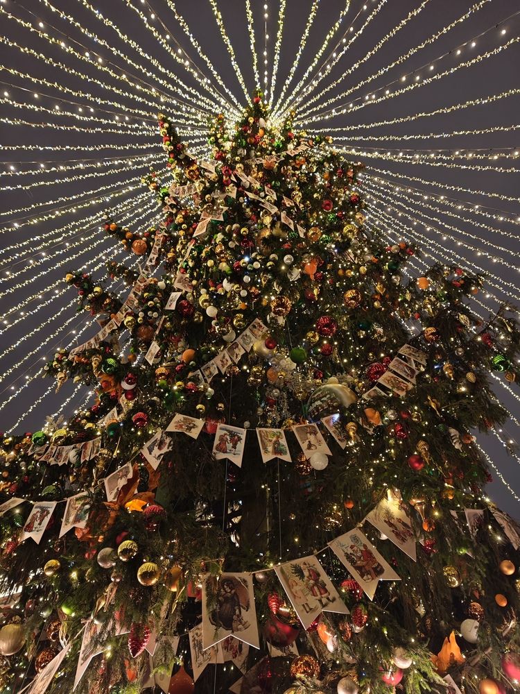 Photograph by Елена Шоколенко