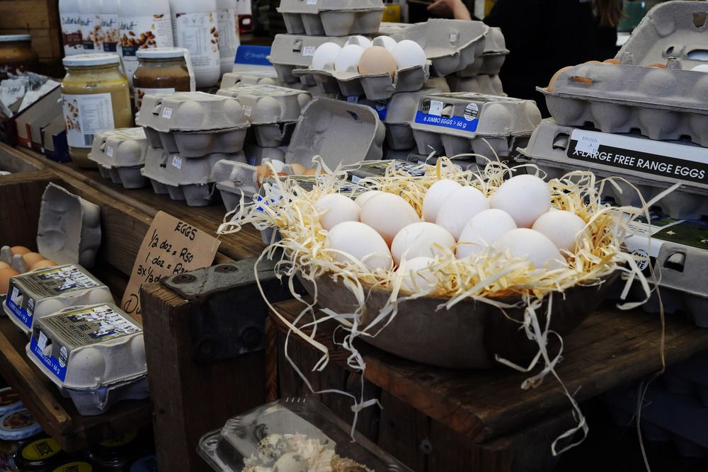 Photograph by Raed Victor Saad