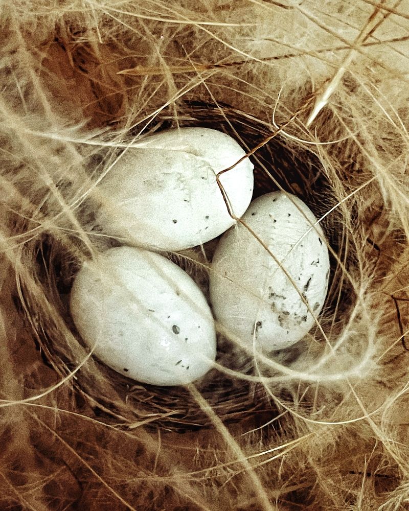 Photograph by Nadya Sterligova