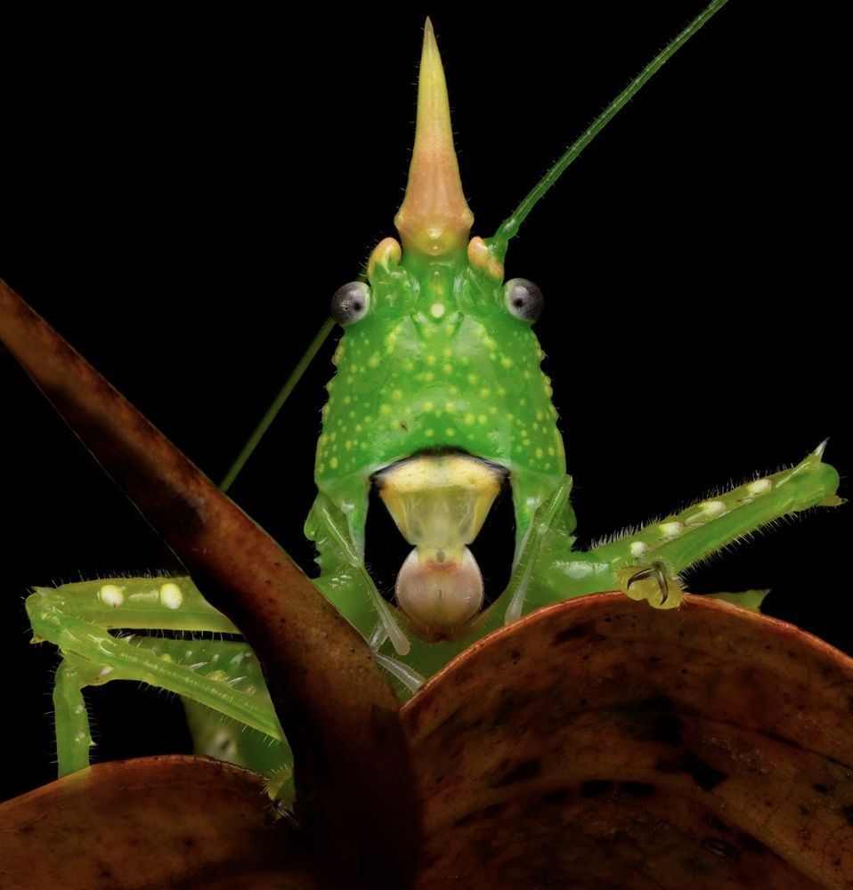 Photograph by Eduardo Salvador Cabrera