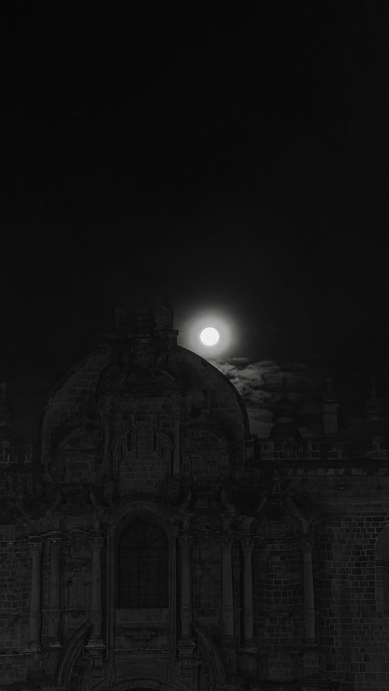 Photograph by Михаил Дагаев