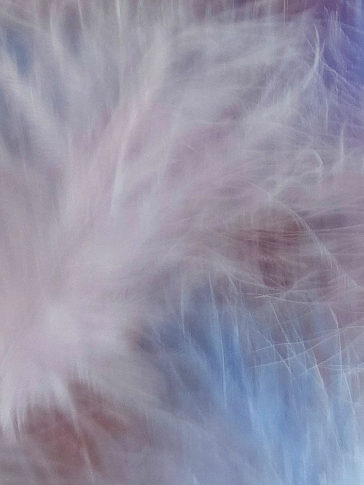 Фотография автора Евгения Хан