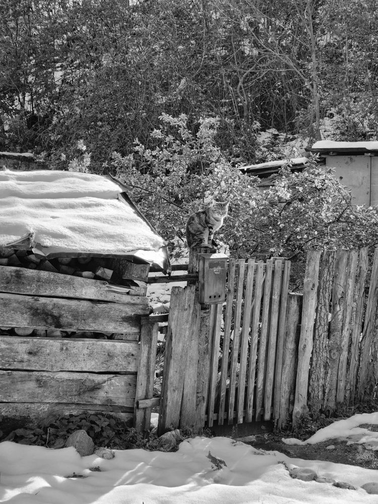 Photograph by Ульяна Митрофанова