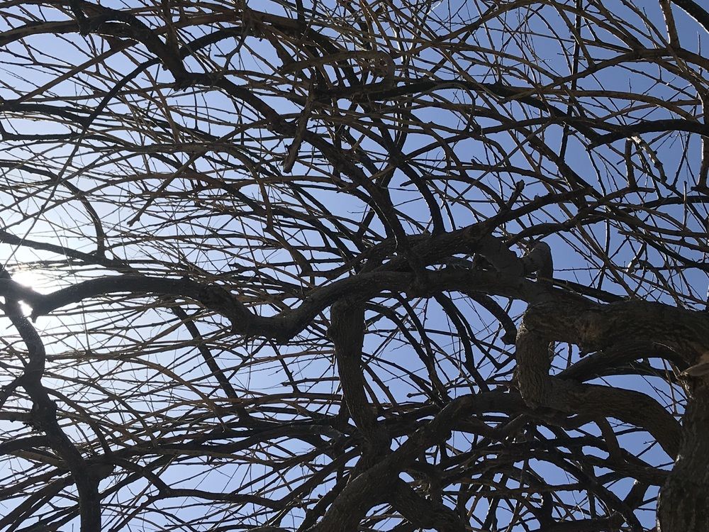 Фотография автора Gungor Makar