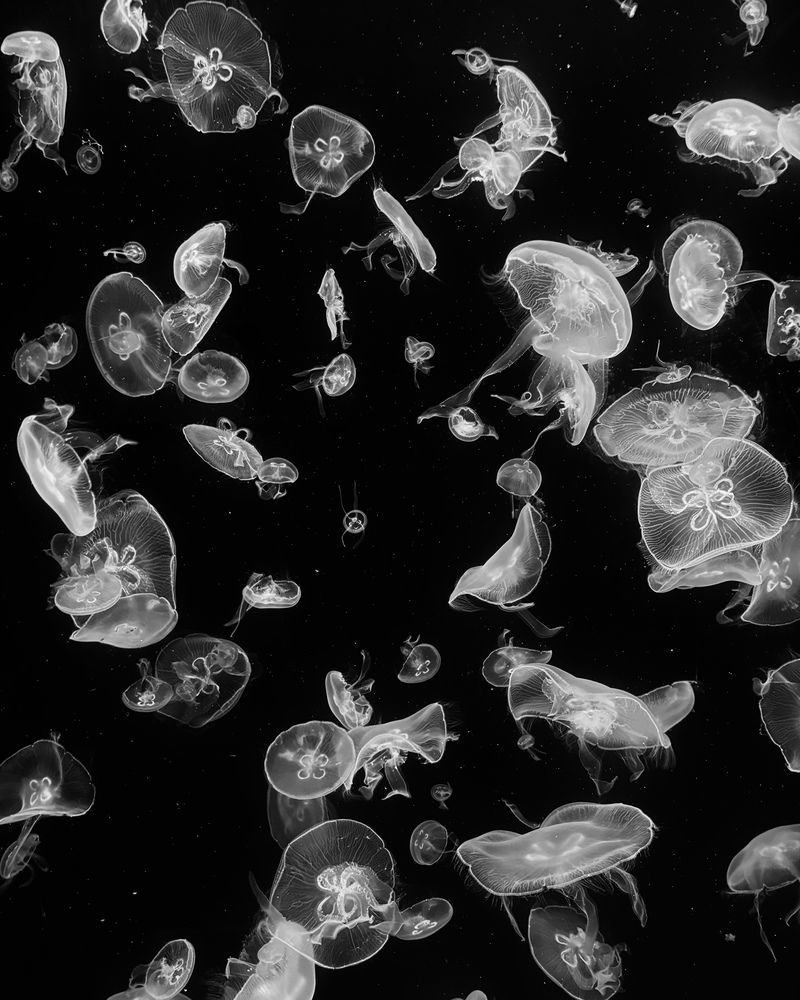 Photograph by Козинец Александр