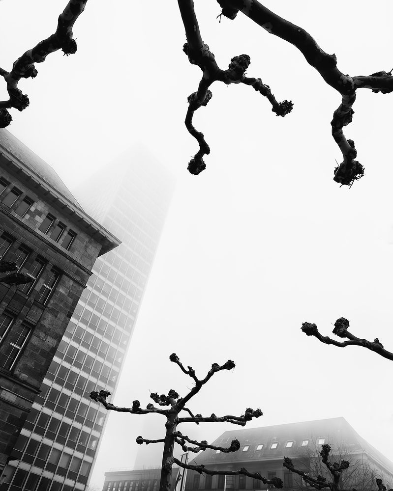 Photograph by Василий Рябовол