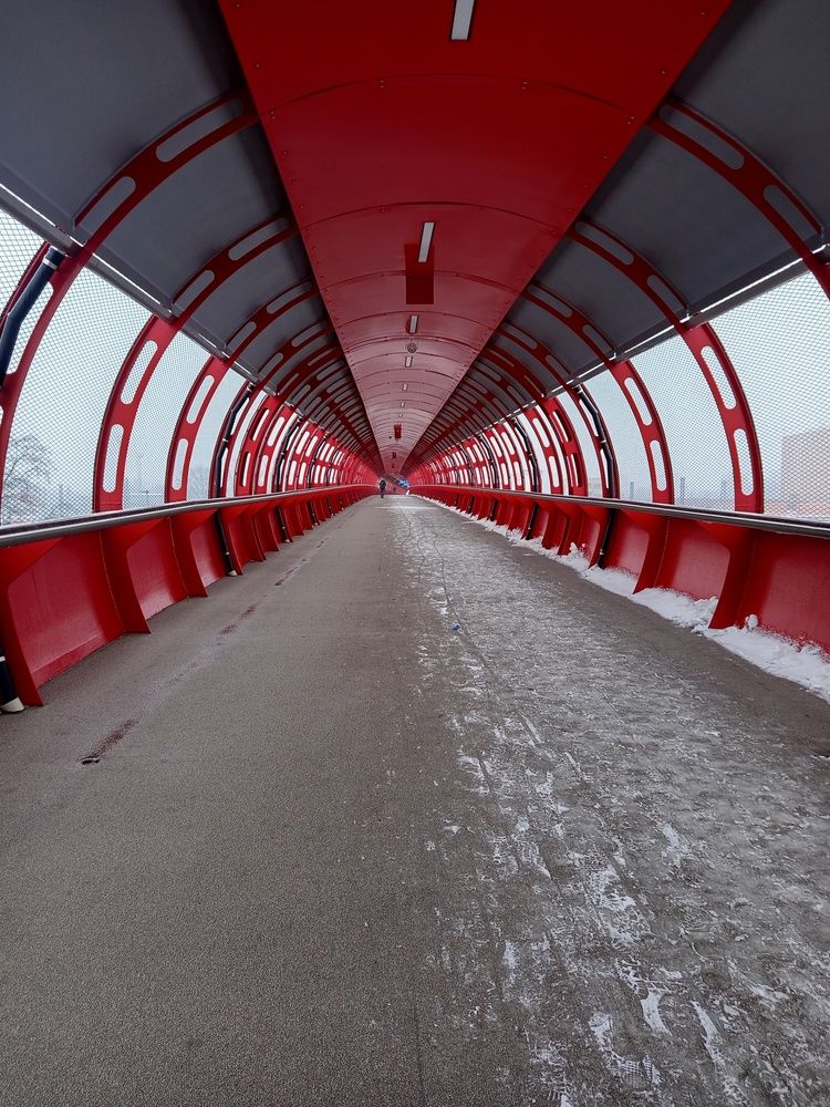 Photograph by Jindřiška Kučerová