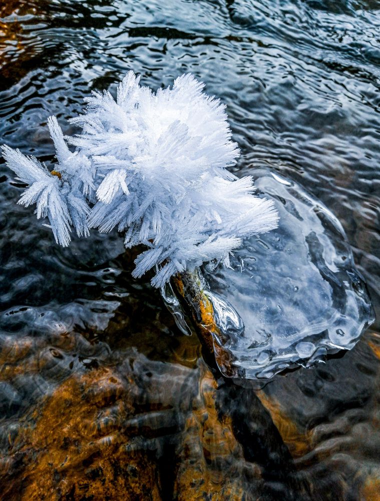Фотография автора Бугаев Олег