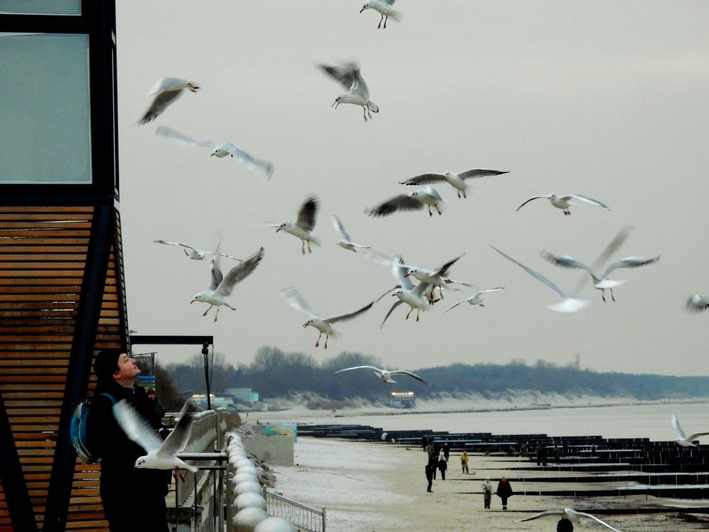 Photo #12922045
