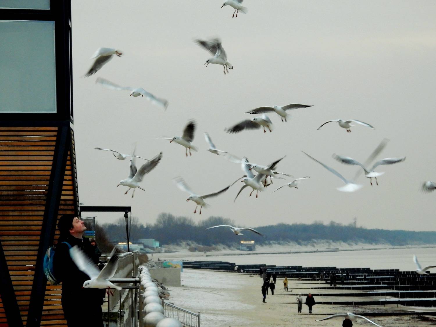 Photo #12922045
