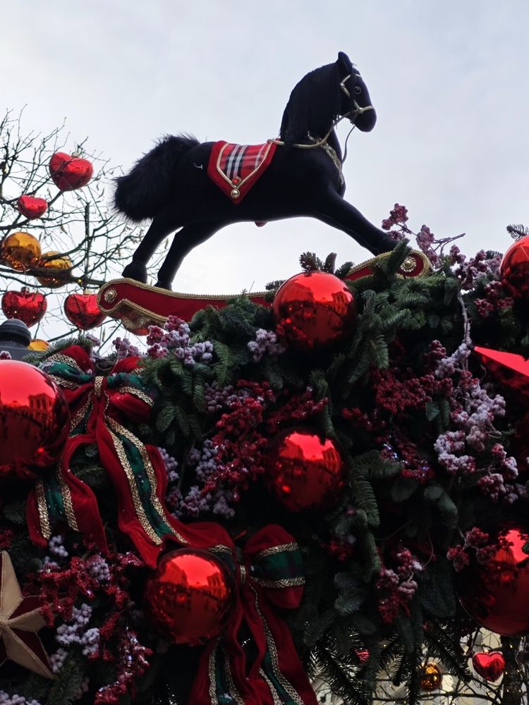 Photograph by Елена Шоколенко