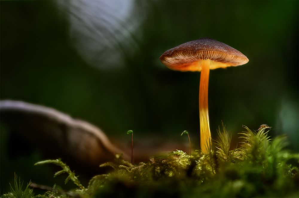 Photograph by Andrey Nuzhdin