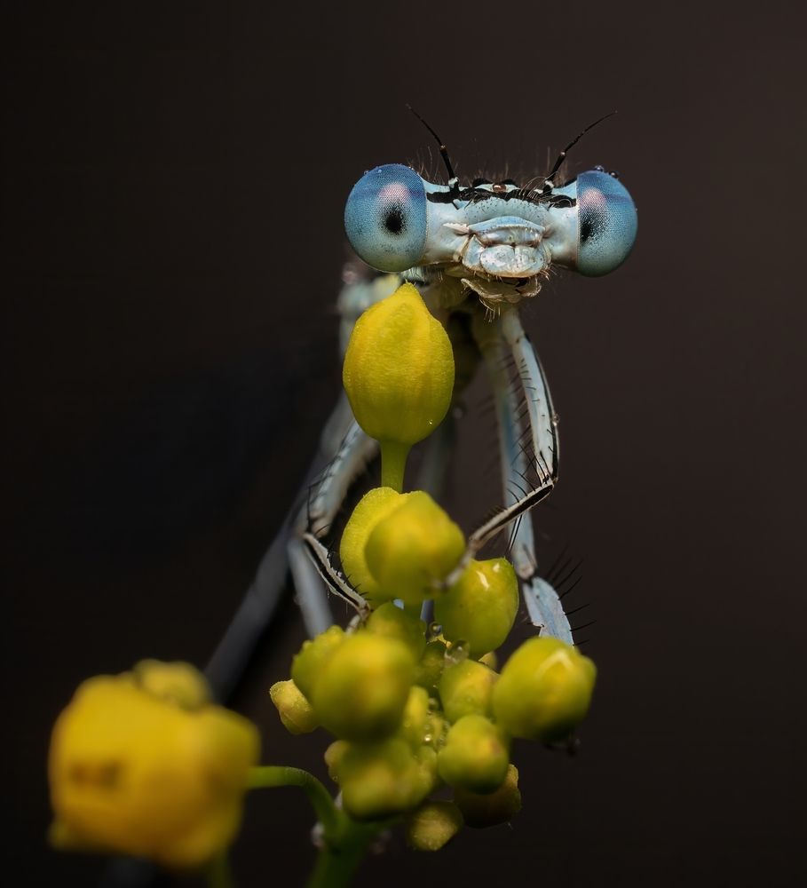 Photograph by Железнова Людмила