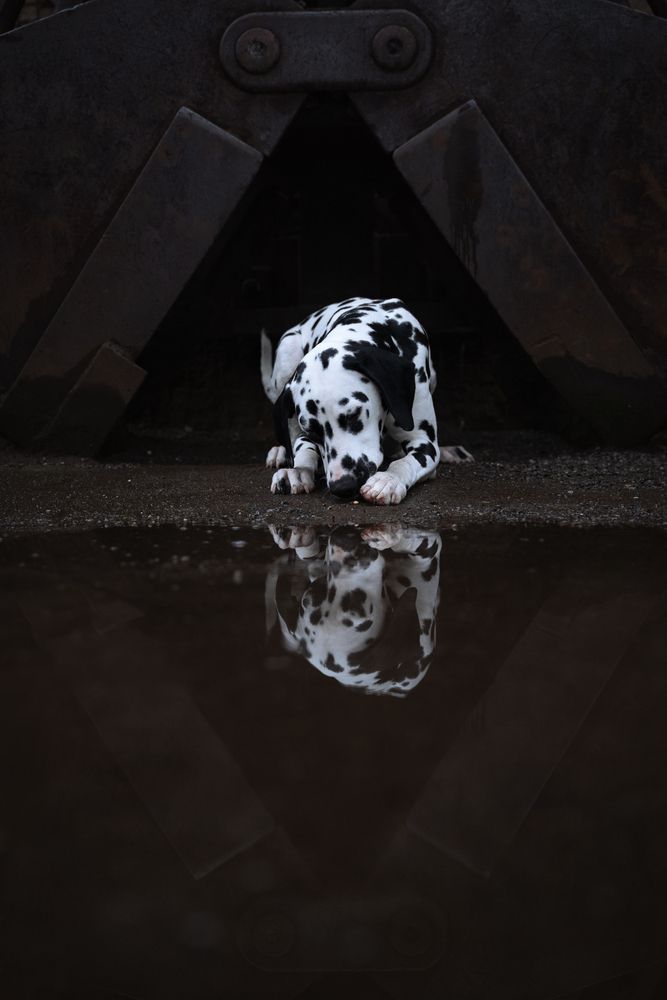 Above and Below