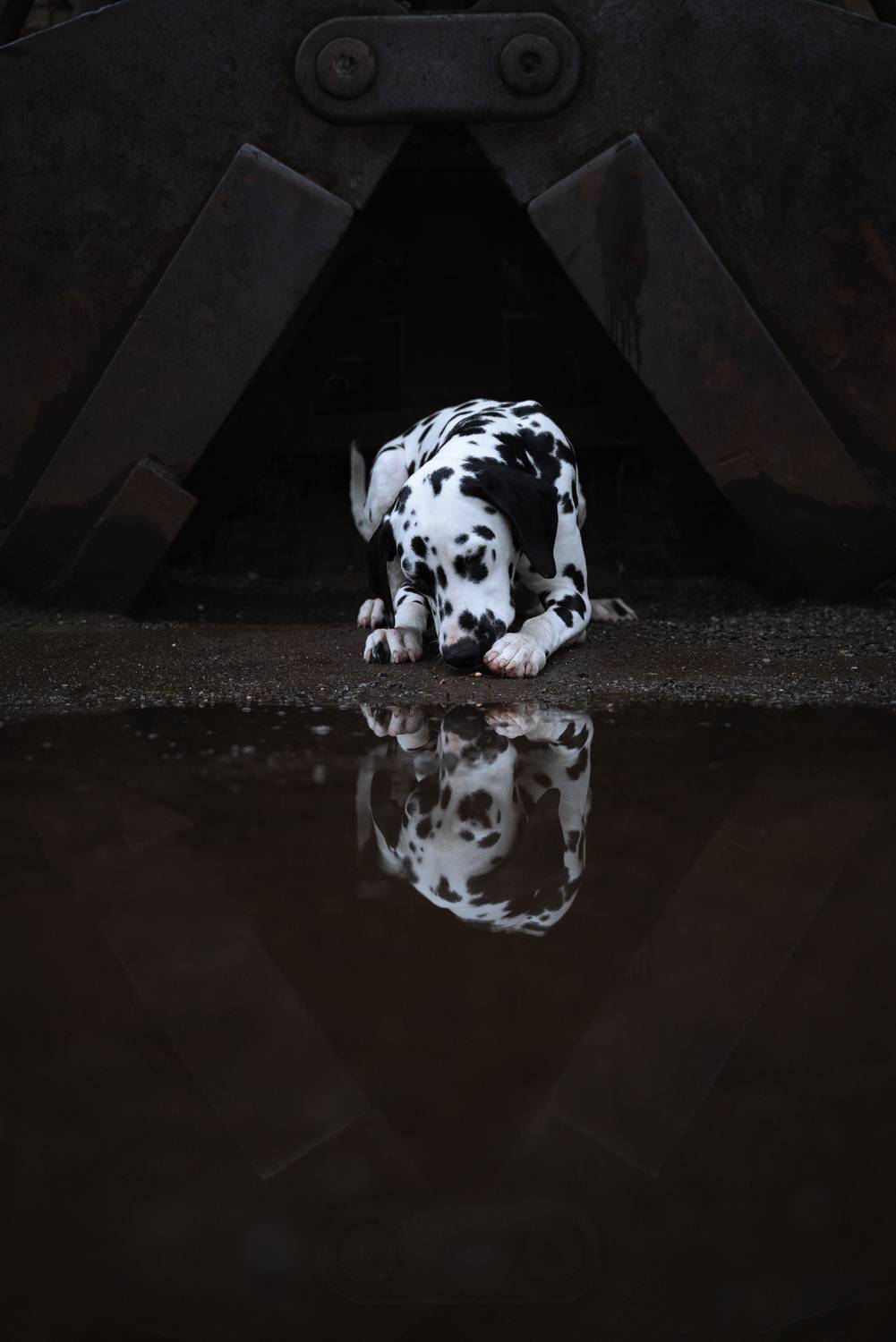 Above and Below Above and Below