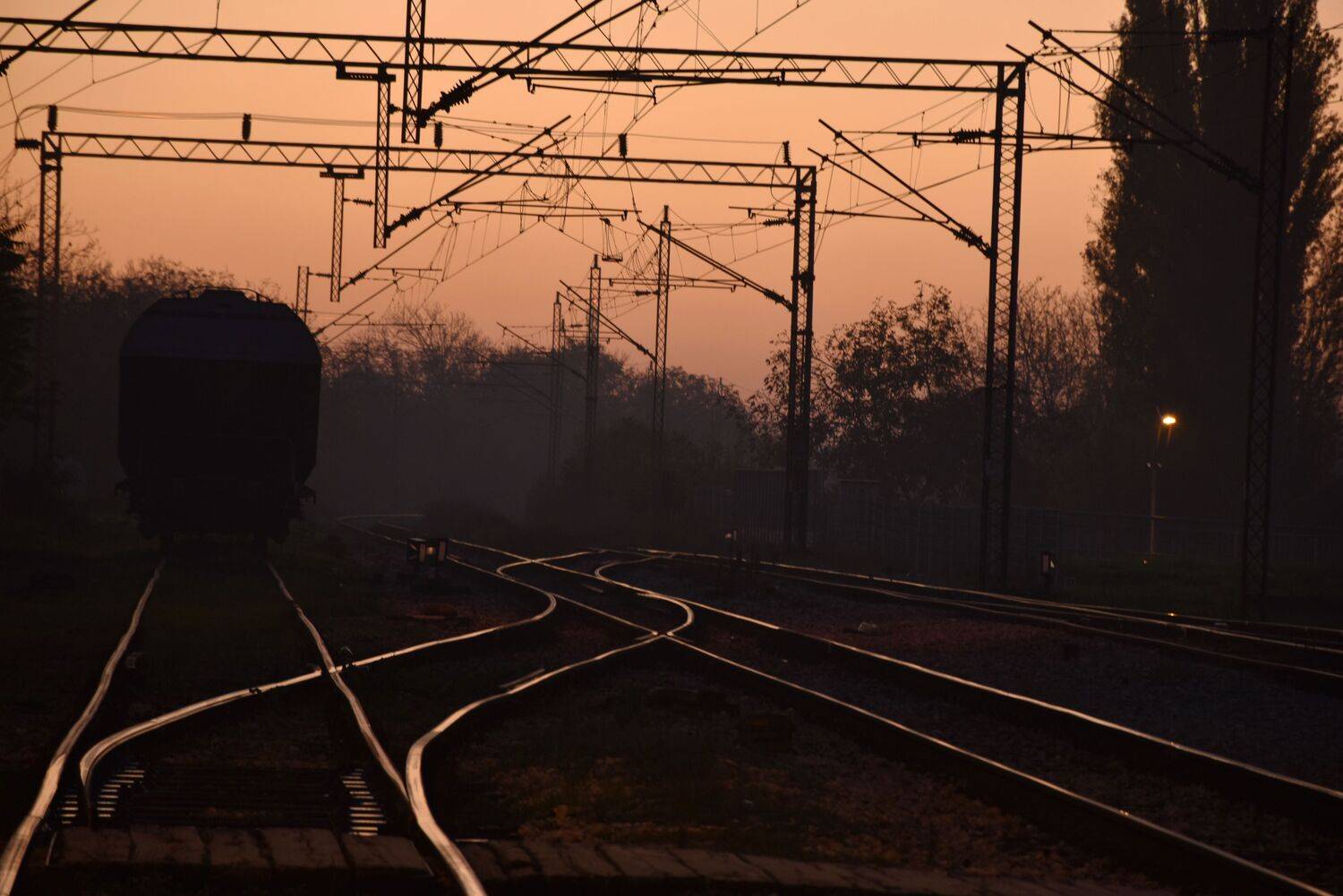 Photo #12922404