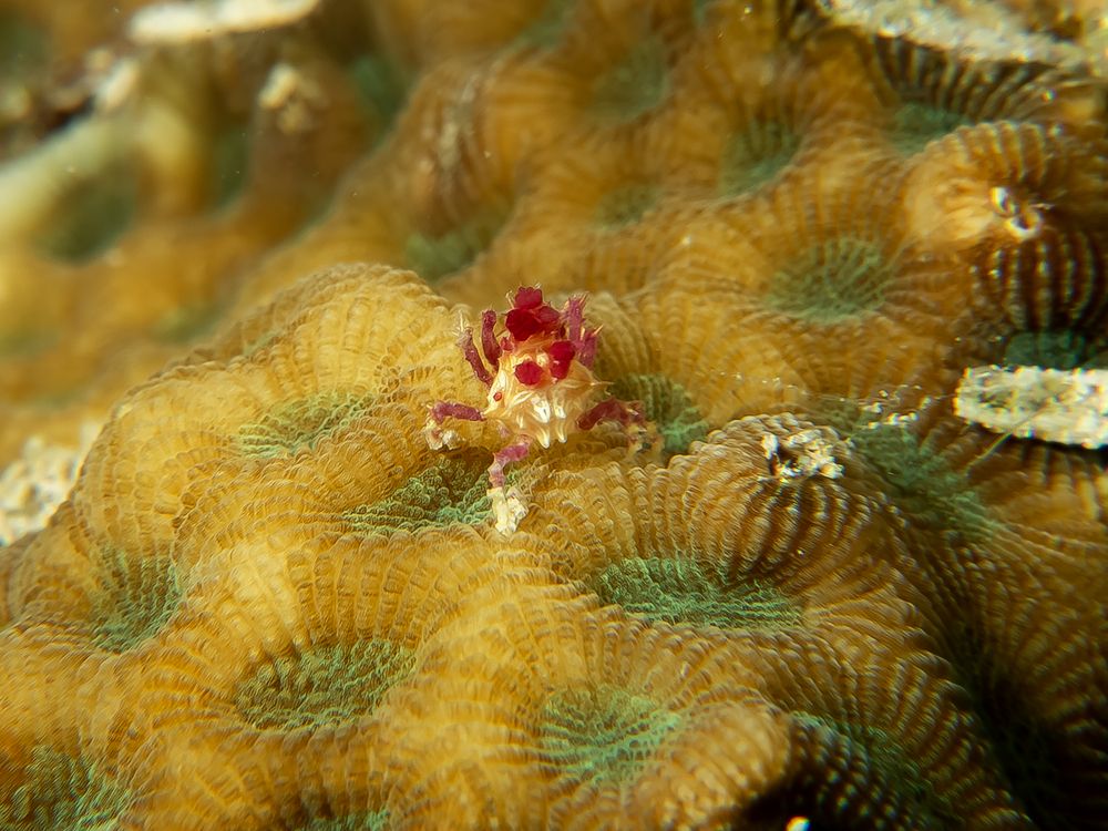 Photograph by Екатерина Рассулова