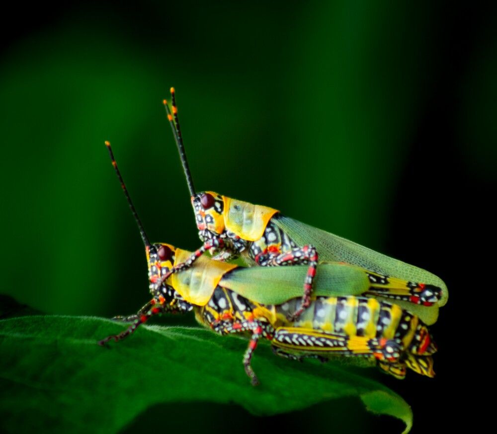 Photograph by EPOH NTHE Durel-landry