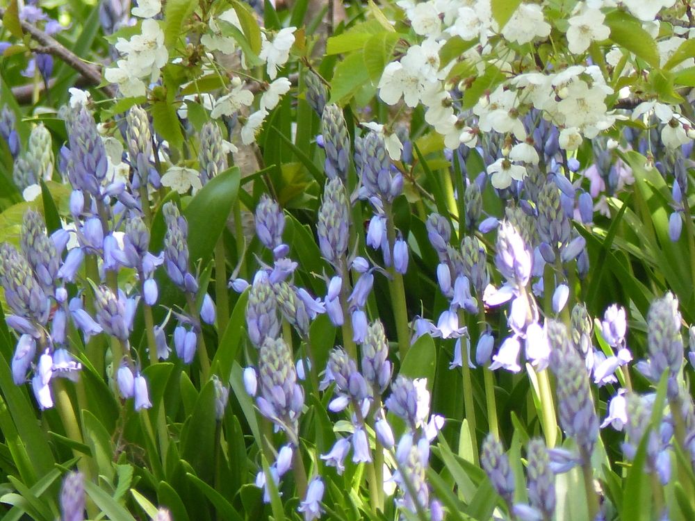 Photograph by Isabella Northrop