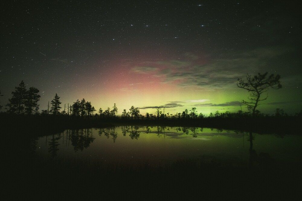 Photograph by Ольга Леонова